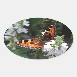 Adesivo Oval Borboleta Laranja e Preta em Flores Brancas