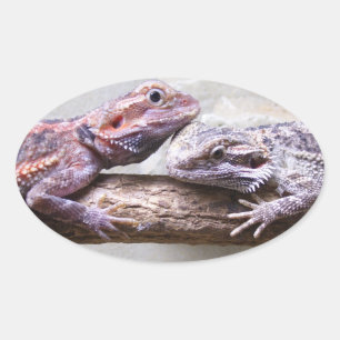 Adesivo Oval Bordador Bartagamen
