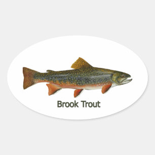 Adesivo Oval Brook Trout (com título)