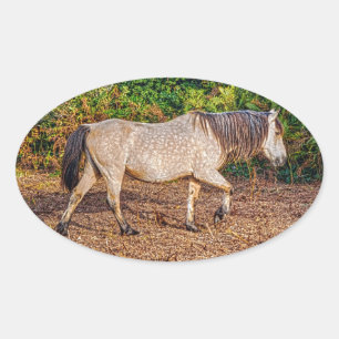 Adesivo Oval Buckskin New Forest Pony Willife