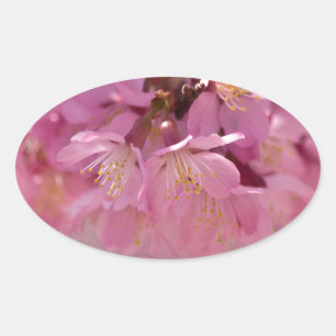 Adesivo Oval Buquê Delicado Rosa de Flores de Cerejeira Sakura