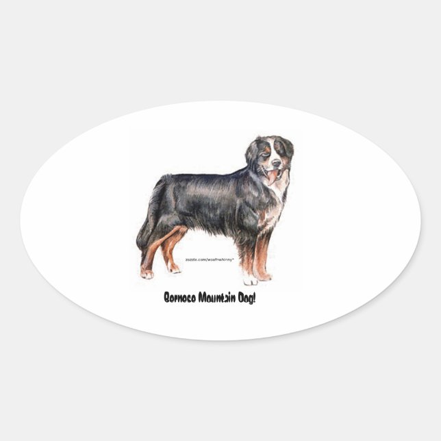 Adesivo Oval Cachorro da Montanha Bernese (Frente)