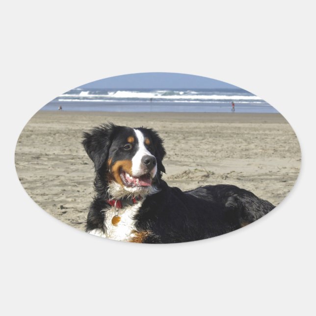 Adesivo Oval Cachorro da Montanha Bernese (Frente)