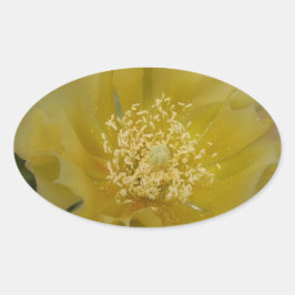 Adesivo Oval Cacto Amarelo em Flor