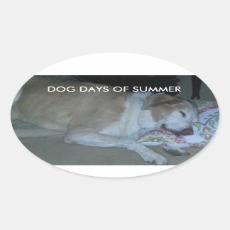 Adesivo Oval Cães dias de verão, galo branco e beige de cinza d