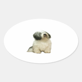 Adesivo Oval Cão de Pastor da Planície Polonesa (PON) - A