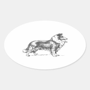 Adesivo Oval Cão do Collie