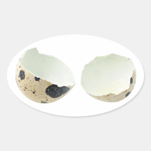 Adesivo Oval Casca de ovo quebrada