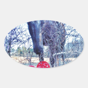 Adesivo Oval Cavalo e Coração