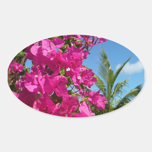 Adesivo Oval Cena da Natureza Tropical de Bougainvillea e Palm  (Frente)