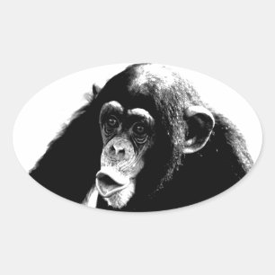 Adesivo Oval Chimpanzé Branco Preto