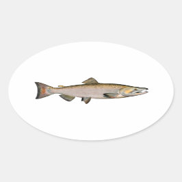 Adesivo Oval Chinook - King Salmon (fase de desova)