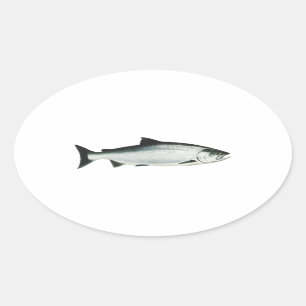 Adesivo Oval Chinook - rei salmão