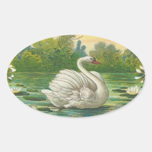 Adesivo Oval Cisne