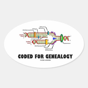 Adesivo Oval Codificado para a árvore genealógica (réplica d