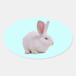 Adesivo Oval Coelhinho Bunny Kawaii Fofinho