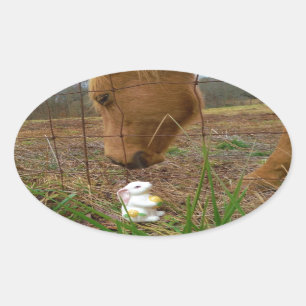 Adesivo Oval coelhinho de cavalo e Primavera