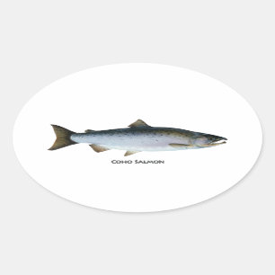 Adesivo Oval Coho Salmon