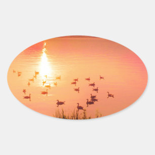 Adesivo Oval Coletor solar rosa e pêssego