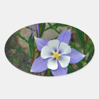 Adesivo Oval Columbina azul