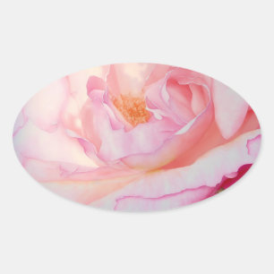 Adesivo Oval Cor d'água das pétalas rosa rosa cor-de-rosa
