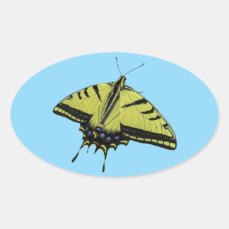 Adesivo Oval Cores da cauda da borboleta Swallowtail Western Ti