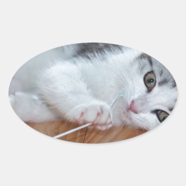 Adesivo Oval Cute Kitten tocando com uma corda (Frente)
