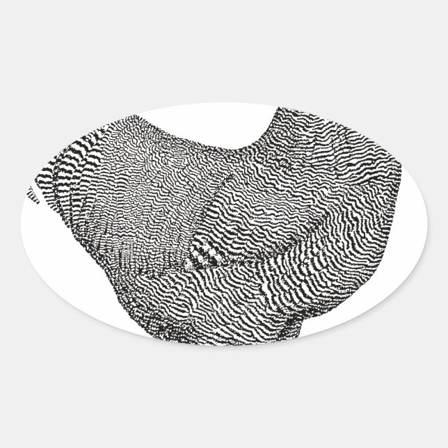 Adesivo Oval Desenho de Galinha de Plymouth Rock (Frente)