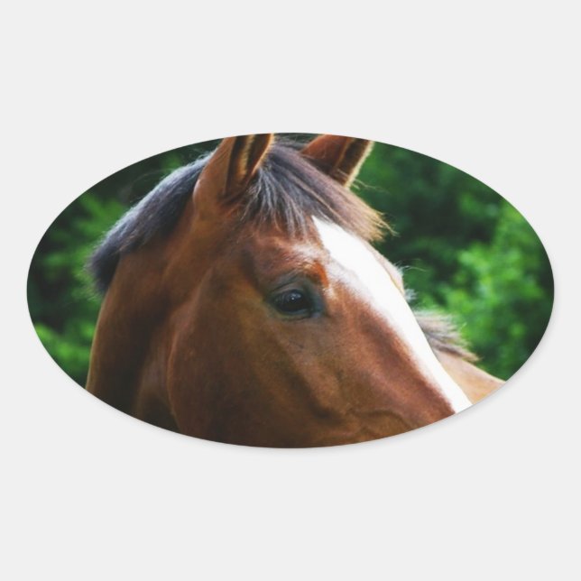 Adesivo Oval Design a sua própria Forma Oval Personalizada de A (Frente)