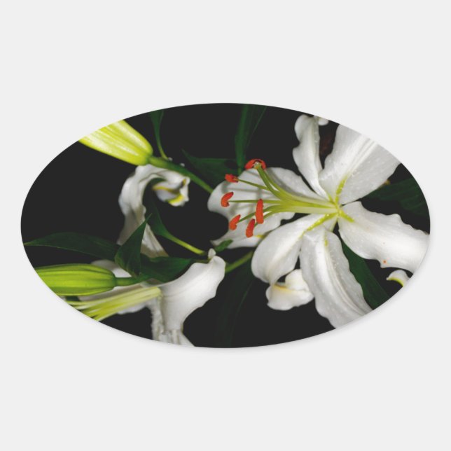 Adesivo Oval Design irlandês - Coleção de Flores (Frente)