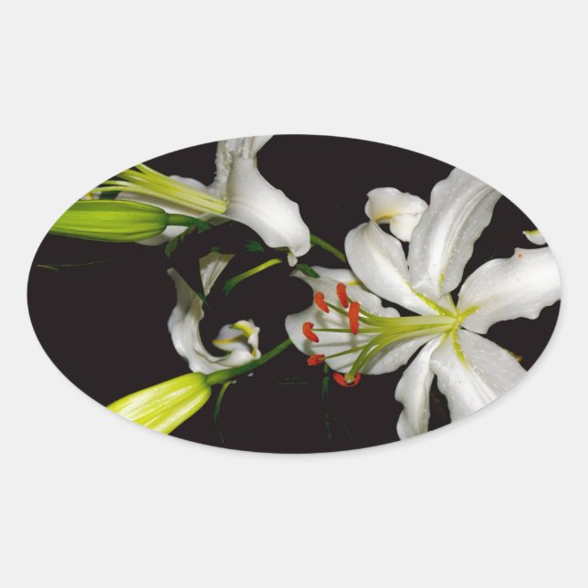 Adesivo Oval Design irlandês - Coleção de latas e flores (Frente)