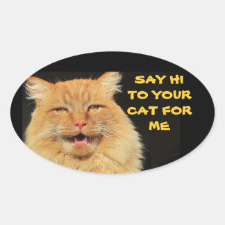 Adesivo Oval Diga Oi Para O Seu Gato Oval Sticker