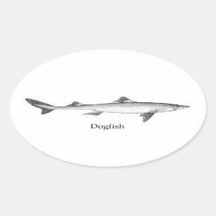 Adesivo Oval Dogfish (arte de linhagem)