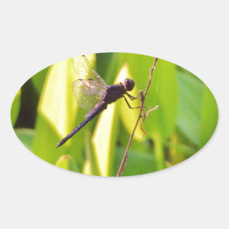Adesivo Oval Dragonfly Blue e preto na grama.