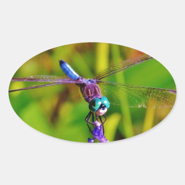 Adesivo Oval Dragonfly e flor (Frente)