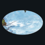 Adesivo Oval Elegante Holly Christmas, céu azul<br><div class="desc">Elegante Holly Christmas,  azul sky Foto de Sandy Closs xmas Christmas holly,  berry,  "holly berry" "elegante natal" "flores de natal" "floral azul verde azul"</div>