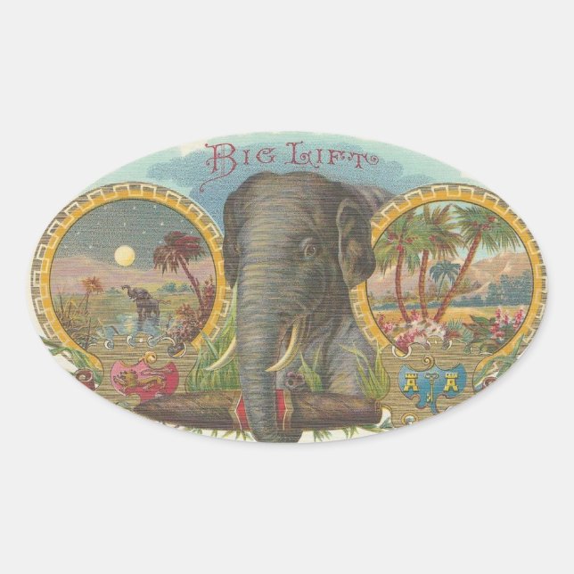 Adesivo Oval Elevação Grande (Frente)