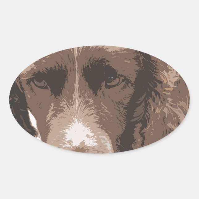 Adesivo Oval English Springer (Frente)