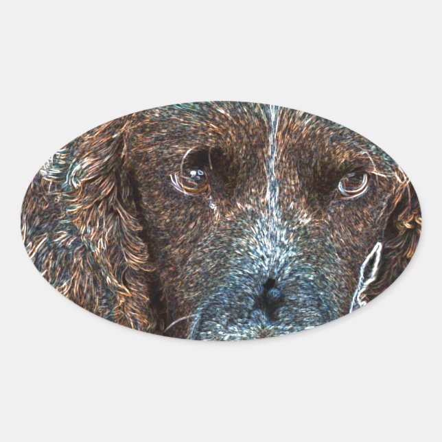 Adesivo Oval English Springer (Frente)