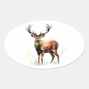 Adesivo Oval Enorme Deer