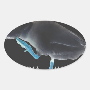 Adesivo Oval Eu Acordei Como Este Hakuna Matata