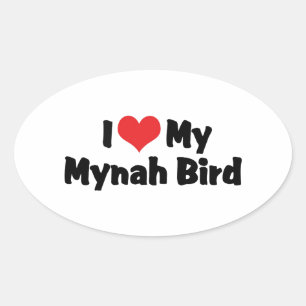 Adesivo Oval Eu Amo Coração Meu Pássaro Mynah - Amante de Pássa