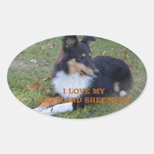 Adesivo Oval Eu Amo O Meu Sheepdog Black Tri