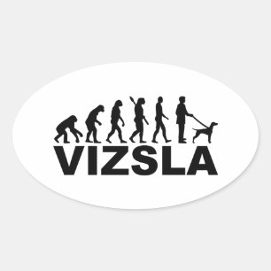 Adesivo Oval Evolução Vizsla