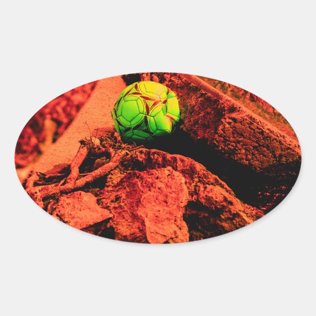 Adesivo Oval explorador de mosquitos (Frente)