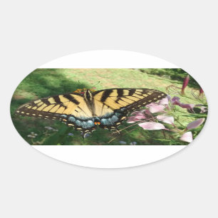 Adesivo Oval Fechamento do Swallowtail de Tigre ao Lado da Limp