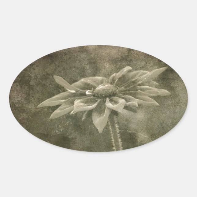 Adesivo Oval Flor Antiga (Frente)