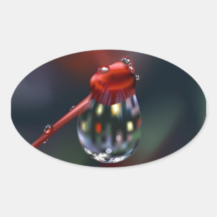Adesivo Oval Flor com gota d'água