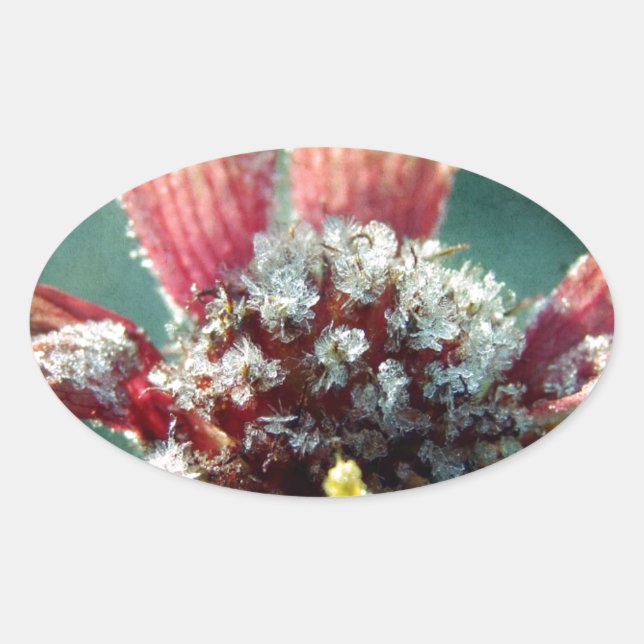 Adesivo Oval Flor Congelado (Frente)