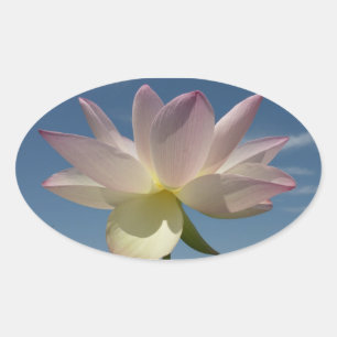 Adesivo Oval Flor de Lotus e Céu Azul II